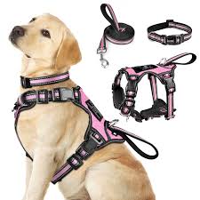 Collars, Harnesses & Leashes