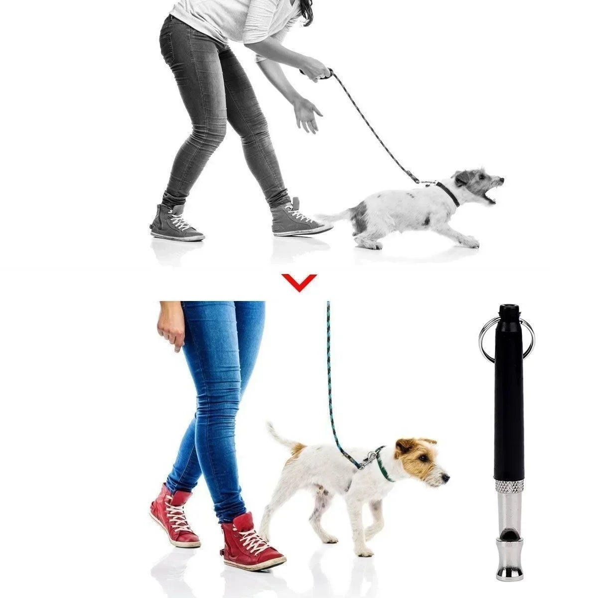 JJYY Ultrasonic Dog Training Deterrent Whistle, Dog Whistle to Stop Barking Bark Control for Dogs Training Deterrent Whistle