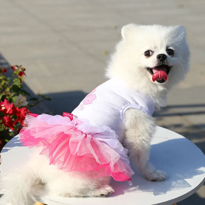 Sweet Dog Princess Dress for Small Dogs Spring Autumn Summer Puppy Dog Lace Tutu Dress Chihuahua Dog Skirt Pet Apparel Dog Dress