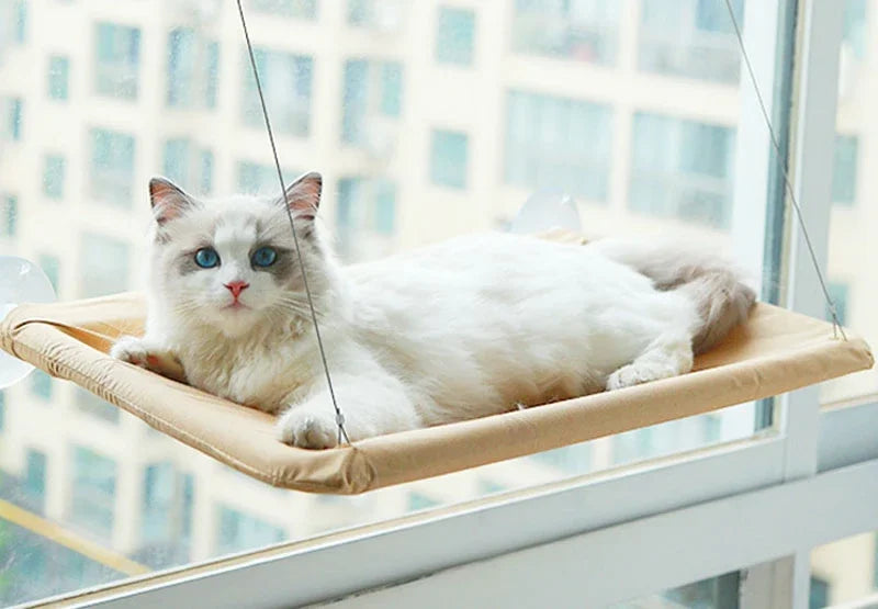 20KG Pet Cat Hammock Hanging Cat Bed Bearing Comfortable Cat Sunny Window Seat Mount Kitten Climbing Frame Pet Accessories