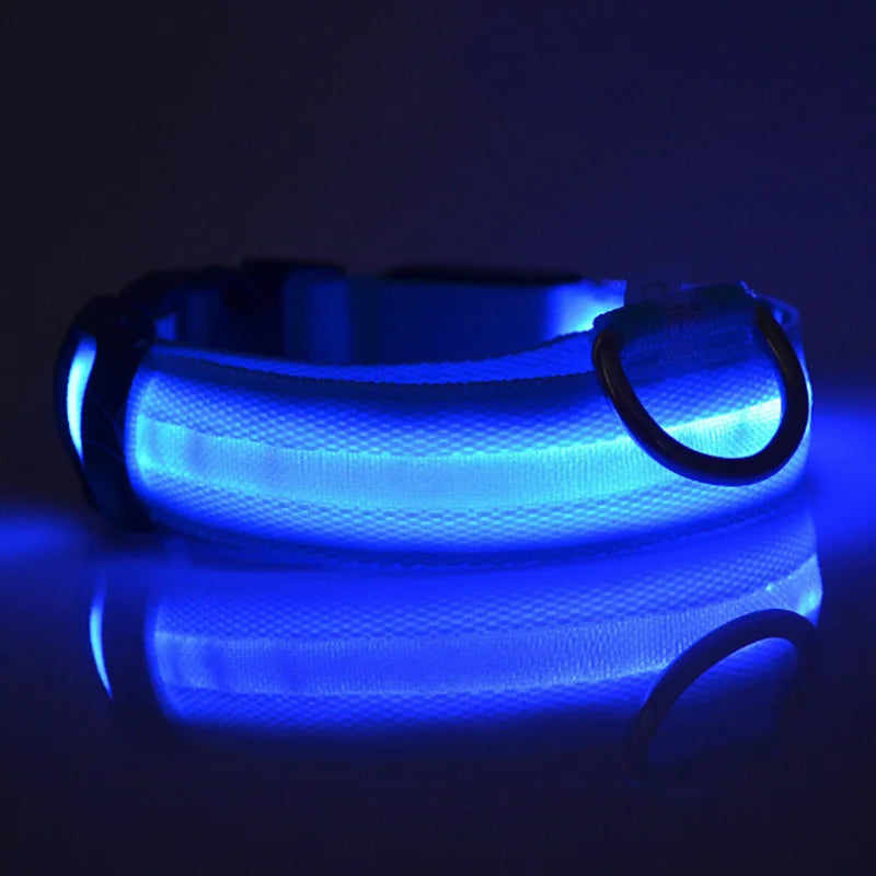 LED Dog Collar, Light Up Dog Collar Adjustable Super Bright Safety Light Glowing Collars for Dogs Night Safety