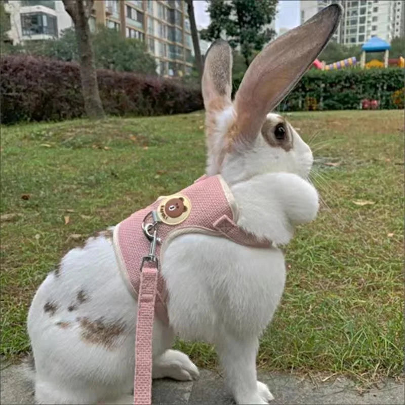 Newest Cute Rabbit Harness and Leash Set Bunny Pet Accessories Vest Harnesses Rabbit Leashes for Outdoor Walking Pets Supplies