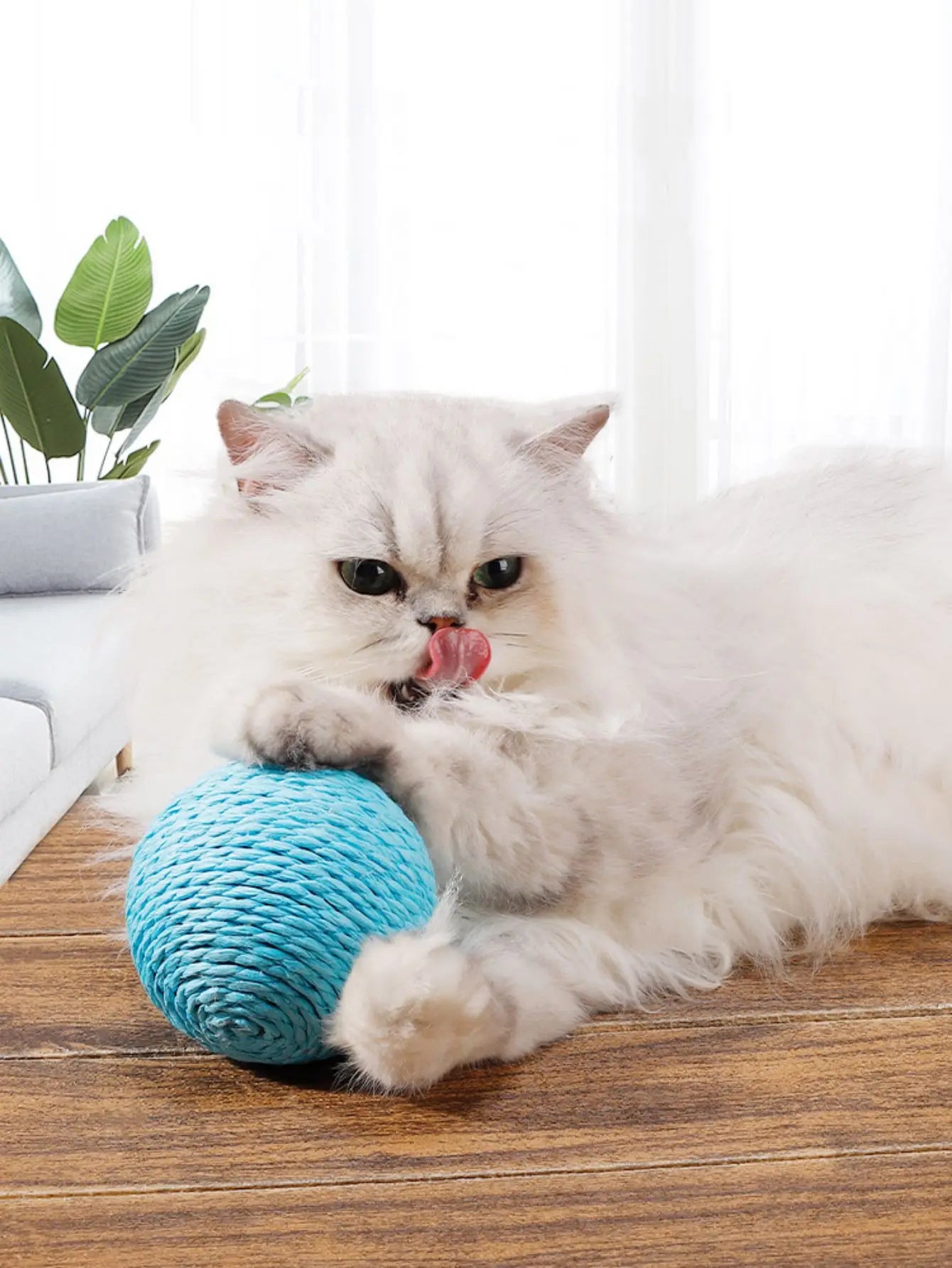 10CM Interactive Sisal Cat Scratching Ball Toy For Kitten Teeth Cleaning Anti Bite Cat Ball Sounding Toy Pet Supplies