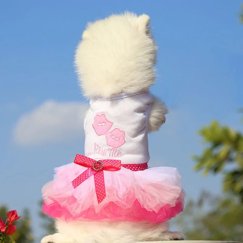 Sweet Dog Princess Dress for Small Dogs Spring Autumn Summer Puppy Dog Lace Tutu Dress Chihuahua Dog Skirt Pet Apparel Dog Dress