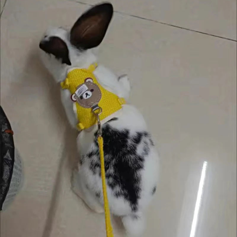 Newest Cute Rabbit Harness and Leash Set Bunny Pet Accessories Vest Harnesses Rabbit Leashes for Outdoor Walking Pets Supplies