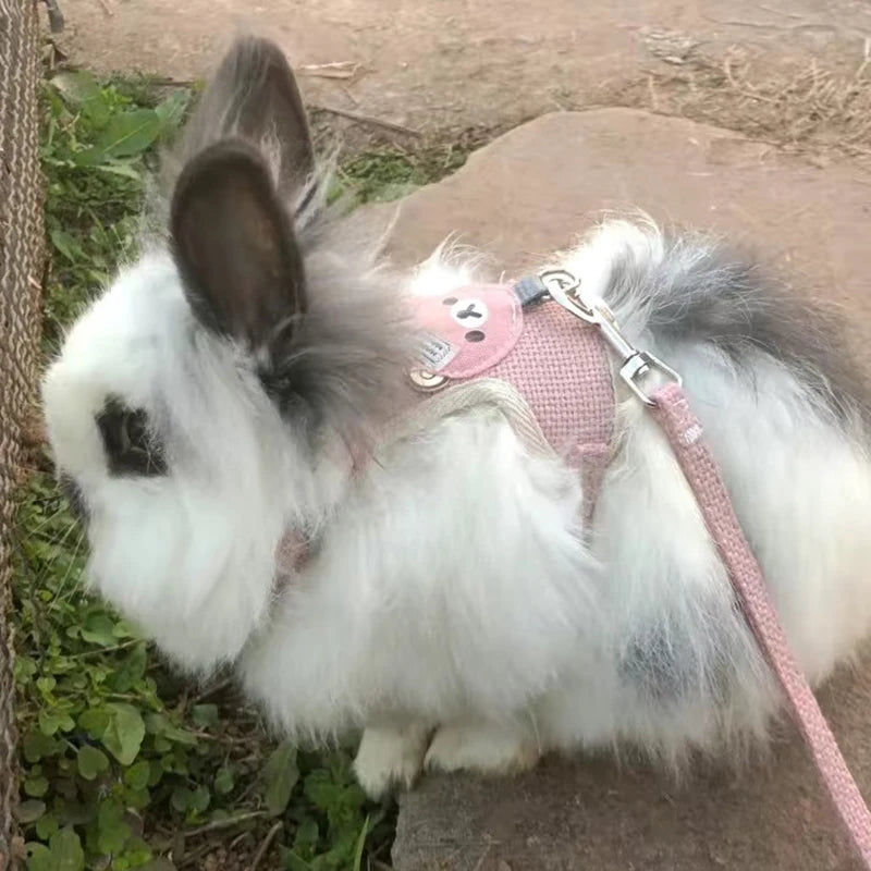 Newest Cute Rabbit Harness and Leash Set Bunny Pet Accessories Vest Harnesses Rabbit Leashes for Outdoor Walking Pets Supplies